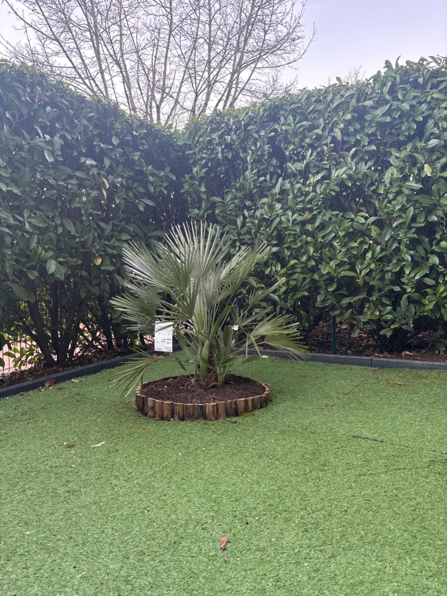 Romantisme et glamour avec spa, piscine et jardin Dijon Extérieur photo